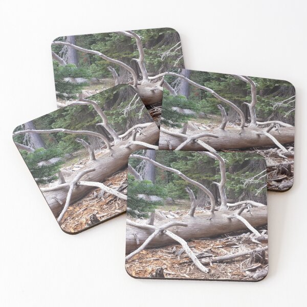 Item preview, fallen tree sun bleached designed and sold by Lizzilzil.
