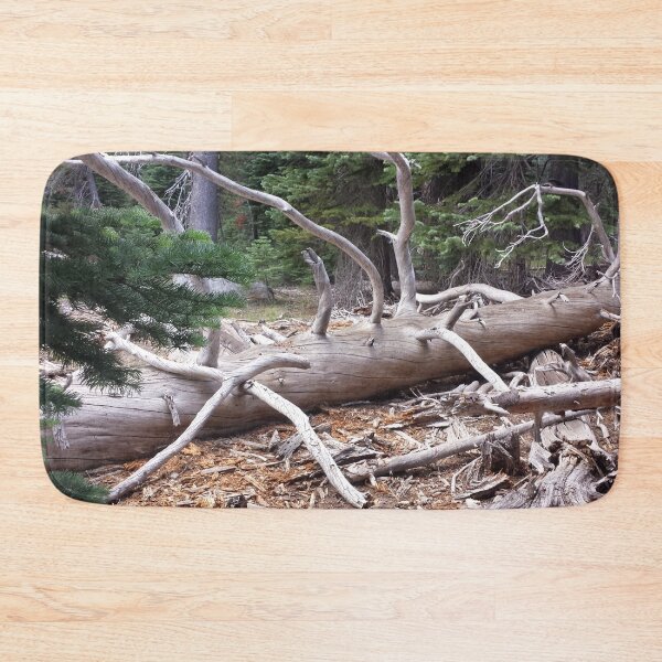 Item preview, fallen tree sun bleached designed and sold by Lizzilzil.