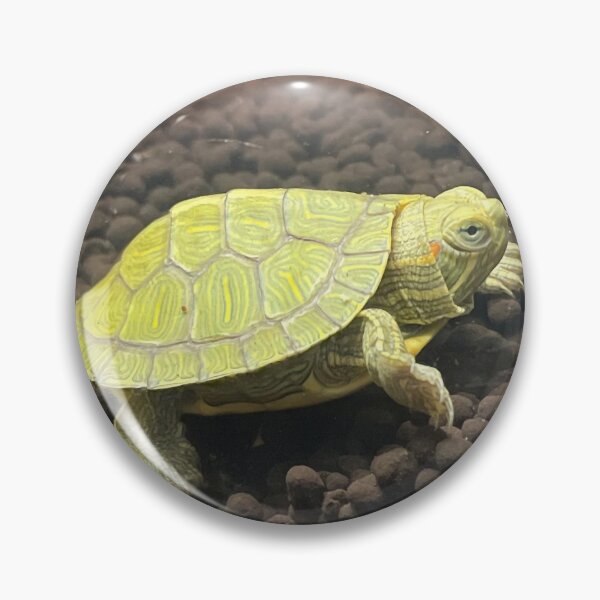 Item preview, Baby Turtle designed and sold by sweetpeascoots.