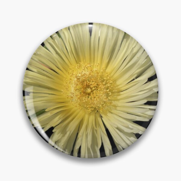 Item preview, yellow daisy like flower succulent sea fig ice plant designed and sold by Lizzilzil.