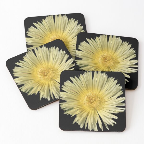 Item preview, yellow daisy like flower succulent sea fig ice plant designed and sold by Lizzilzil.