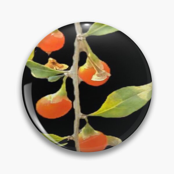 Item preview, goji berry vine designed and sold by Lizzilzil.