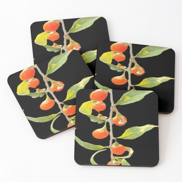 Item preview, goji berry vine designed and sold by Lizzilzil.