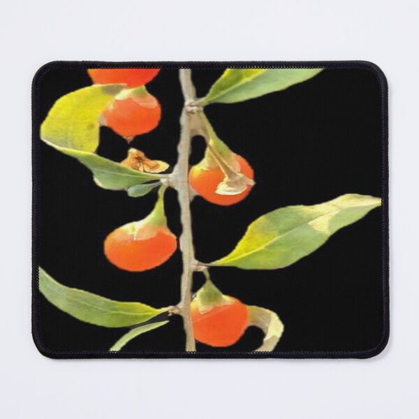 Item preview, goji berry vine designed and sold by Lizzilzil.
