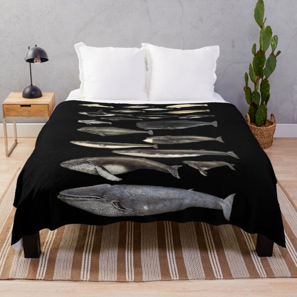Item preview, Whale Chart designed and sold by yikpocytr81.