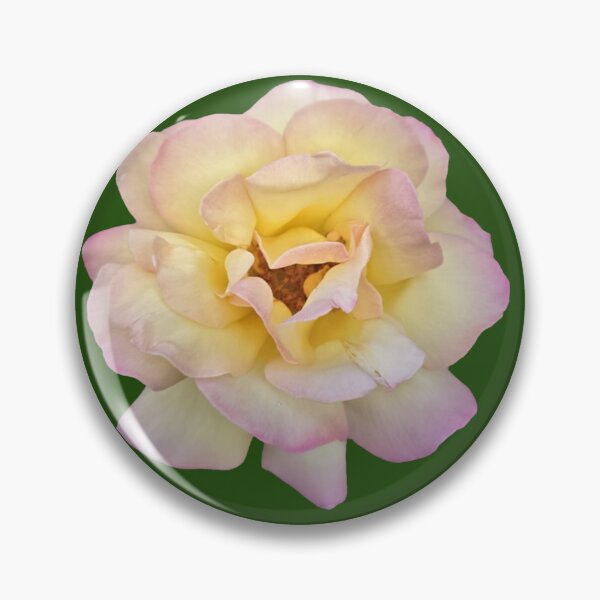 Item preview, yellow and pink rose with green background designed and sold by Lizzilzil.