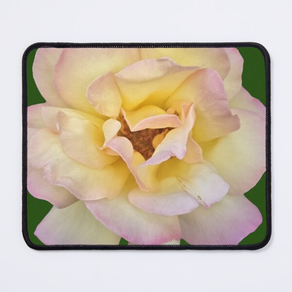 Item preview, yellow and pink rose with green background designed and sold by Lizzilzil.