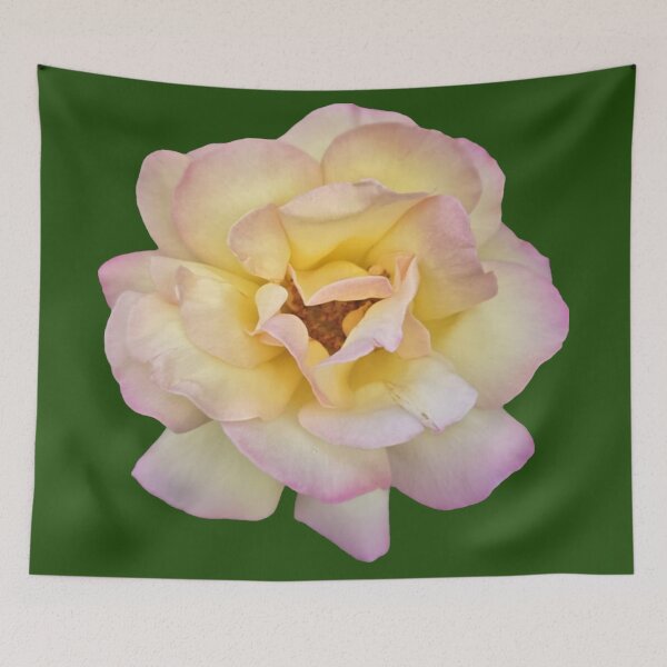 Item preview, yellow and pink rose with green background designed and sold by Lizzilzil.