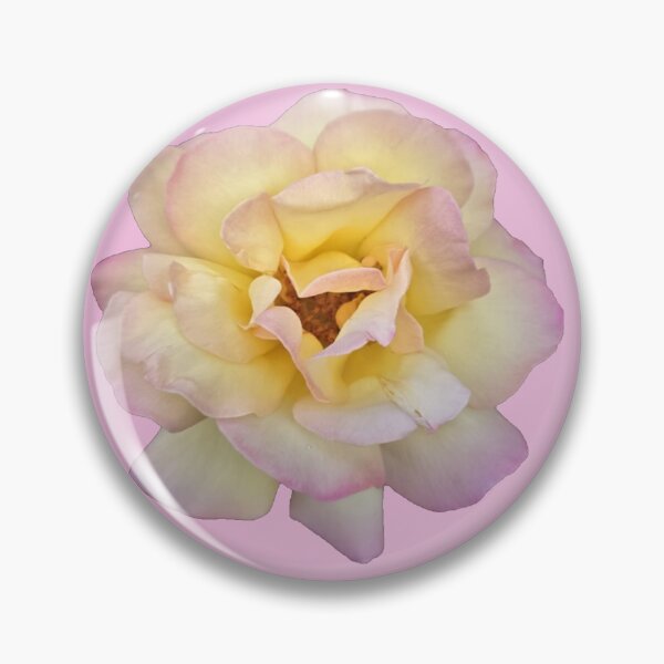 Item preview, yellow and pink rose with pink background designed and sold by Lizzilzil.