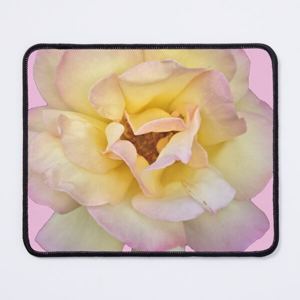 Item preview, yellow and pink rose with pink background designed and sold by Lizzilzil.