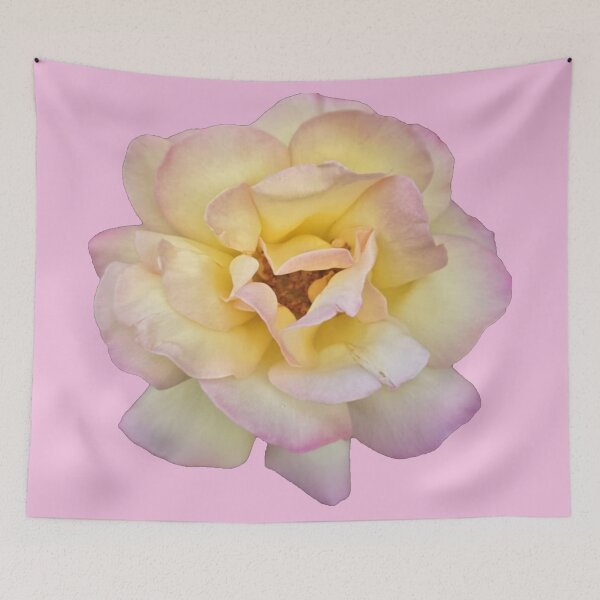 Item preview, yellow and pink rose with pink background designed and sold by Lizzilzil.