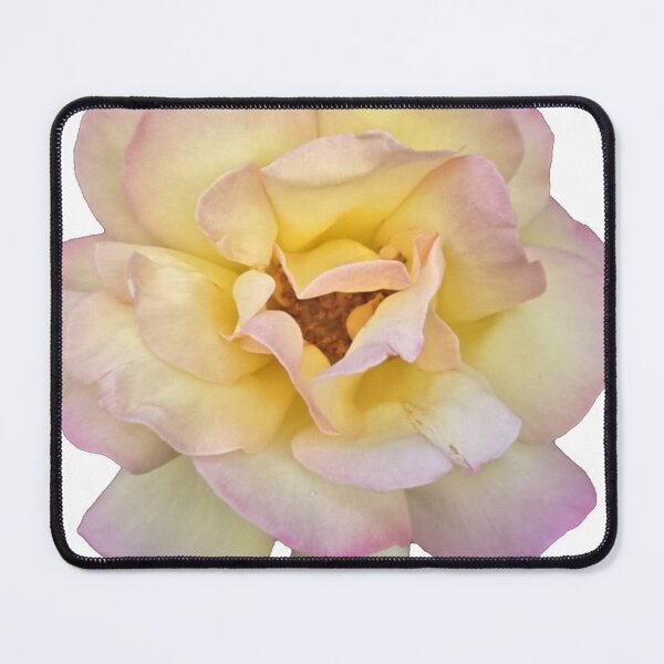 Item preview, yellow and pink rose designed and sold by Lizzilzil.