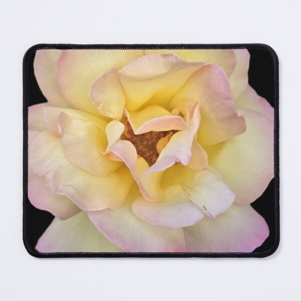 Item preview, yellow and pink rose bloom designed and sold by Lizzilzil.