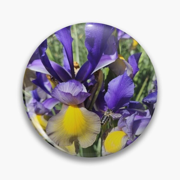 Artikelvorschau, gelbe und blaue Iris mit einer Biene entworfen und verkauft von Lizzilzil.