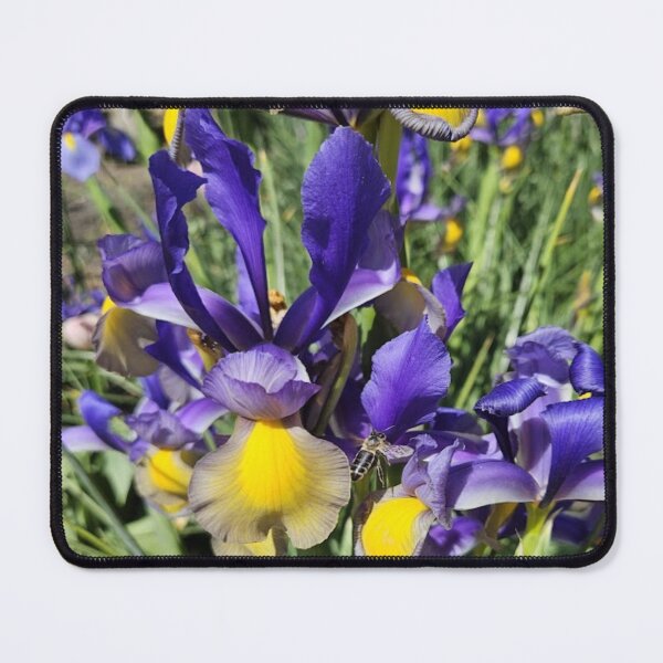 Item preview, yellow and blue iris with a bee designed and sold by Lizzilzil.