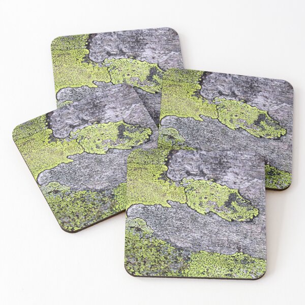 Item preview, lichen designed and sold by KathleenDawson.