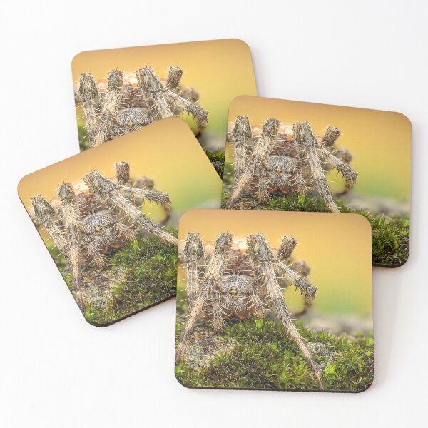 Item preview, Garden spider in the moss designed and sold by pejuphotography.