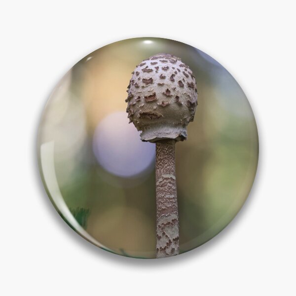 Item preview, Mushroom in the forest designed and sold by pejuphotography.