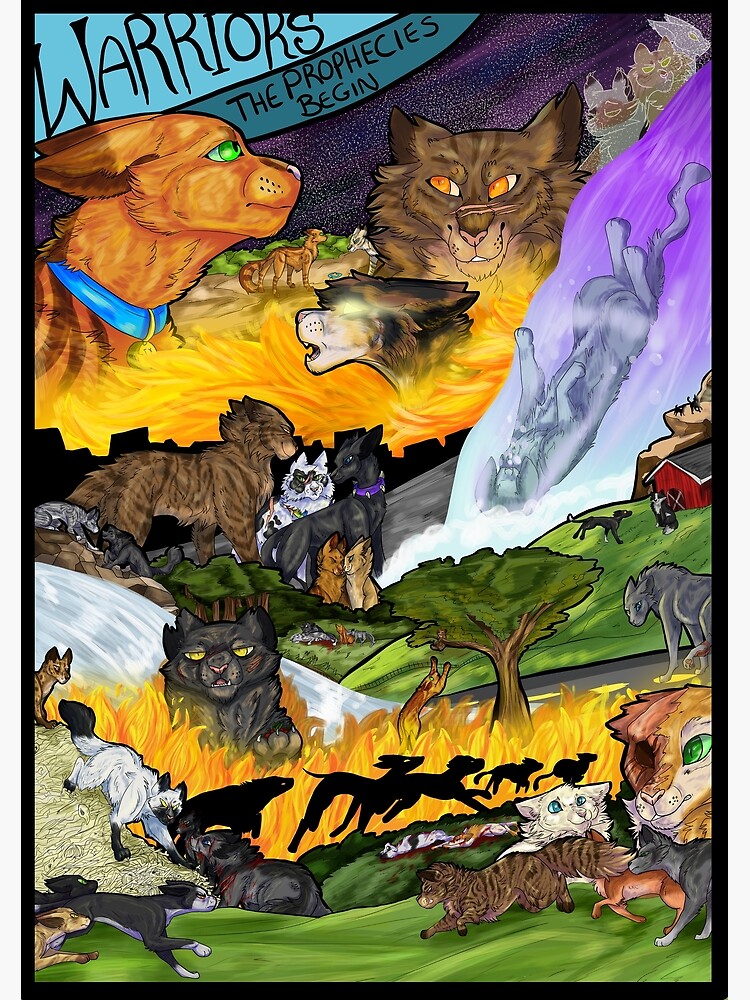 Warriors (Novel Series) Fan Art: lot of warrior cats
