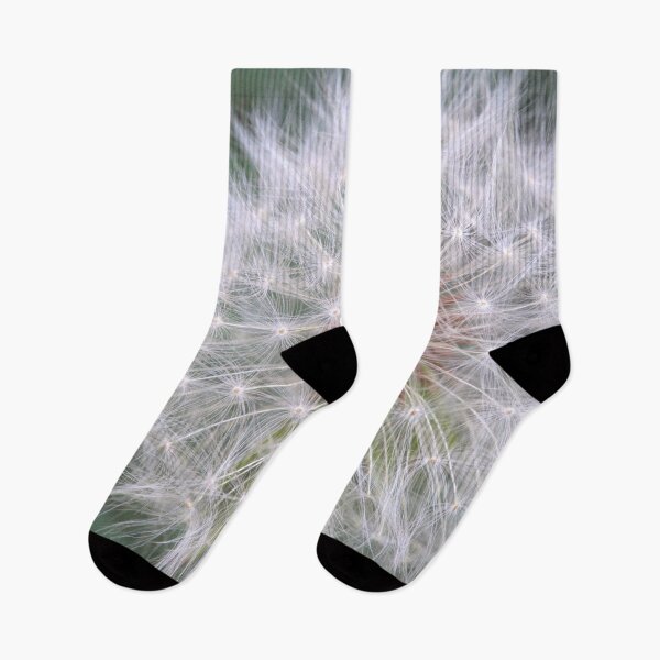 Item preview, Dandelion Seeds on the Plant designed and sold by Petalgrain.