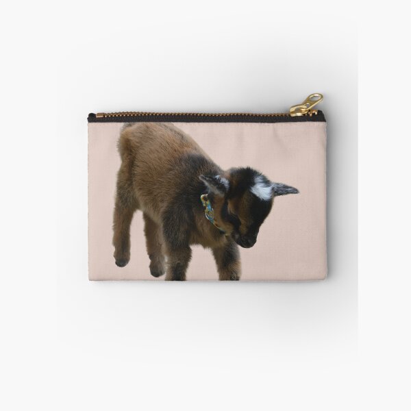 Item preview, Cabrito enano nigeriano designed and sold by RobynPeters1836.