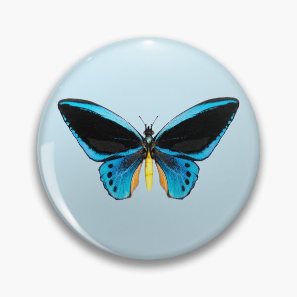 Item preview, Birdwing Butterfly designed and sold by Vac1.