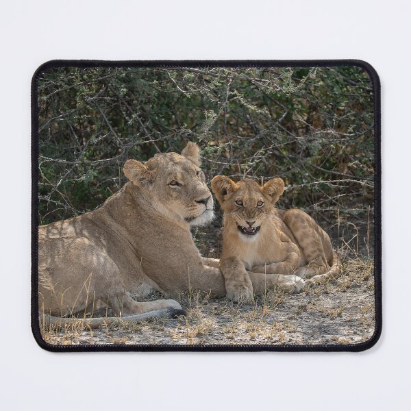 Item preview, Marsh Pride Bonds — Lioness and Playful Cub designed and sold by DavideAntoniani.