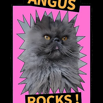 Artwork thumbnail, Angus Rocks by DavidPuga8