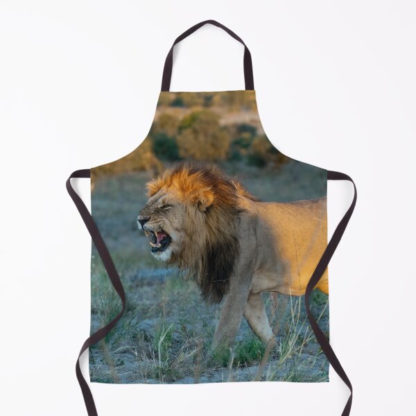 Item preview, Romeo the Renegade — Savuti Lion at Sunset designed and sold by DavideAntoniani.