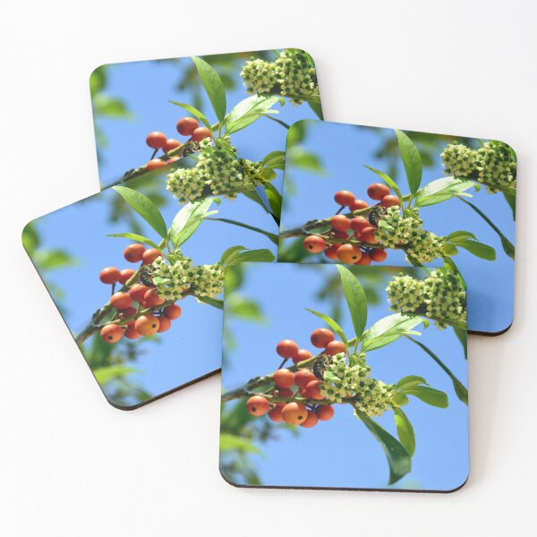 Item preview, Vibrant Firethorn Berries and Blossoms designed and sold by MercerImages.
