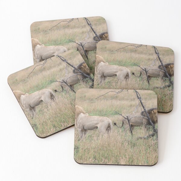 Item preview, Casper and Footloose — Shishangaan Lions of Kruger designed and sold by DavideAntoniani.