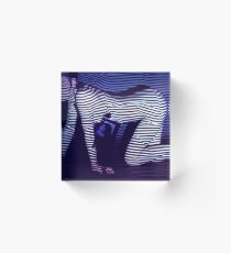zebra daze Acrylic Block