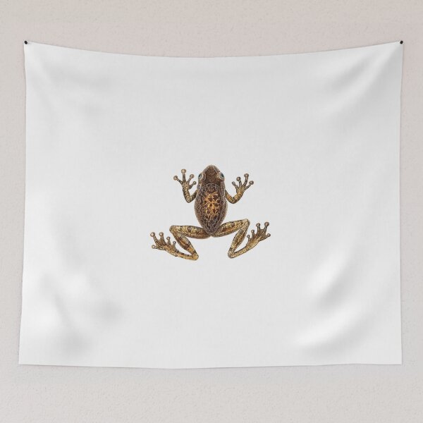 Item preview, Cuban Treefrog designed and sold by Reethes.