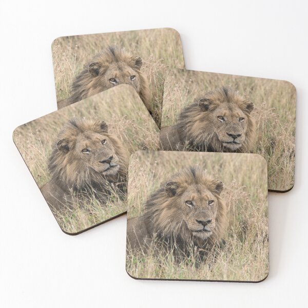 Item preview, Footloose — Last of the Shishangaan Lions designed and sold by DavideAntoniani.
