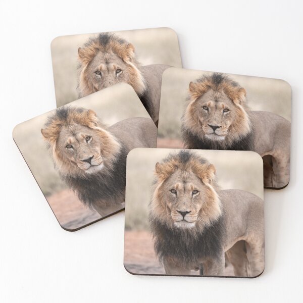 Item preview, The Black-Maned Lion of Kgalagadi designed and sold by DavideAntoniani.