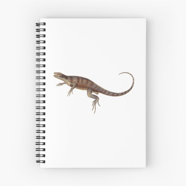 Item preview, Curled Tail Lizard designed and sold by Reethes.
