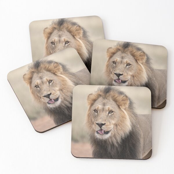 Item preview, The Playful Side — Black-Maned Lion of Kgalagadi designed and sold by DavideAntoniani.