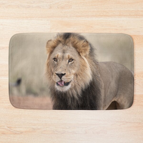 Item preview, The Playful Side — Black-Maned Lion of Kgalagadi designed and sold by DavideAntoniani.