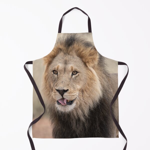 Item preview, The Playful Side — Black-Maned Lion of Kgalagadi designed and sold by DavideAntoniani.