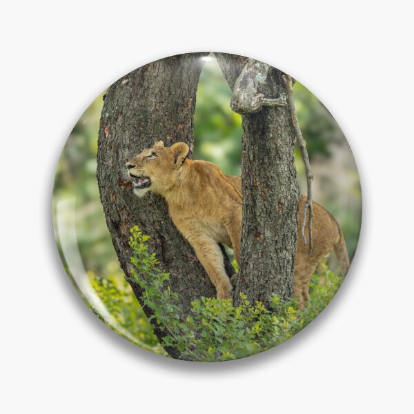 Item preview, High climbing lion designed and sold by Alison Lee Rubie.