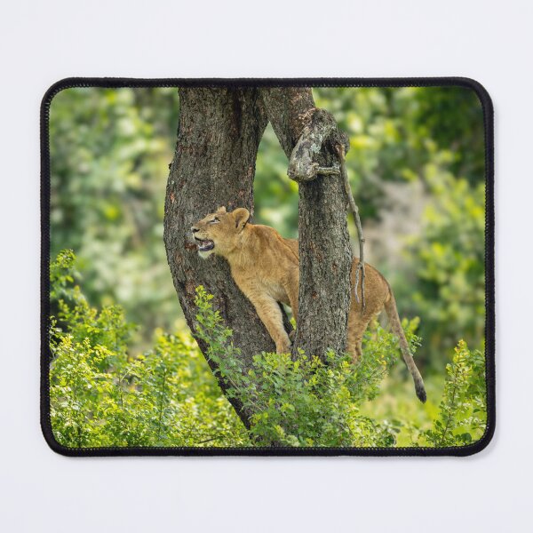 Item preview, High climbing lion designed and sold by Alison Lee Rubie.