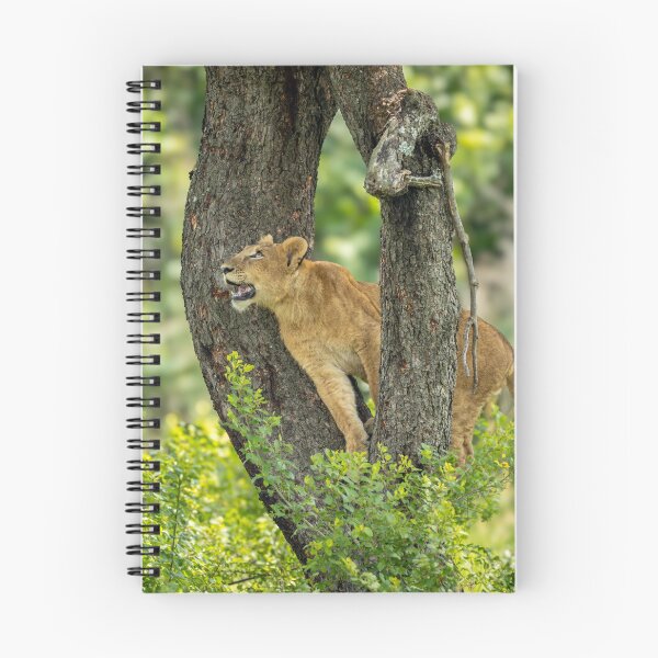 Item preview, High climbing lion designed and sold by Alison Lee Rubie.
