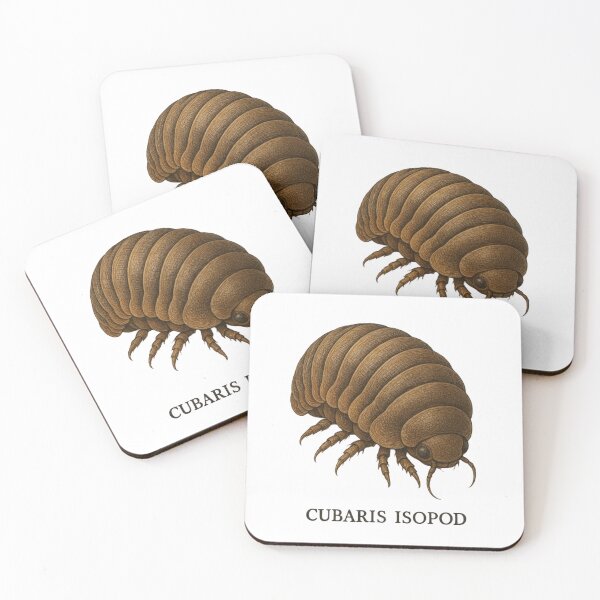 Item preview, Cubaris Isopods - realistic insect designed and sold by DamioPolArt.