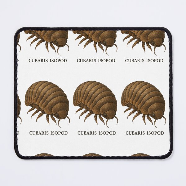 Item preview, Cubaris Isopods - realistic insect designed and sold by DamioPolArt.