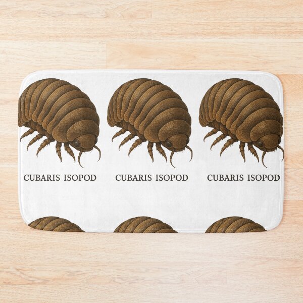 Item preview, Cubaris Isopods - realistic insect designed and sold by DamioPolArt.
