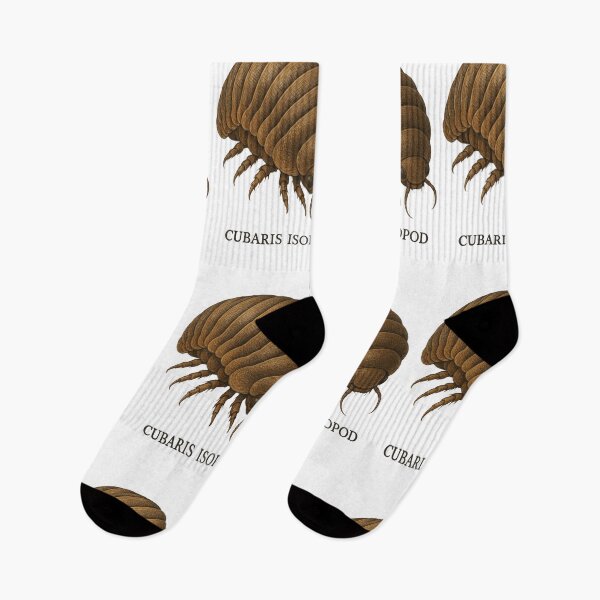 Item preview, Cubaris Isopods - realistic insect designed and sold by DamioPolArt.