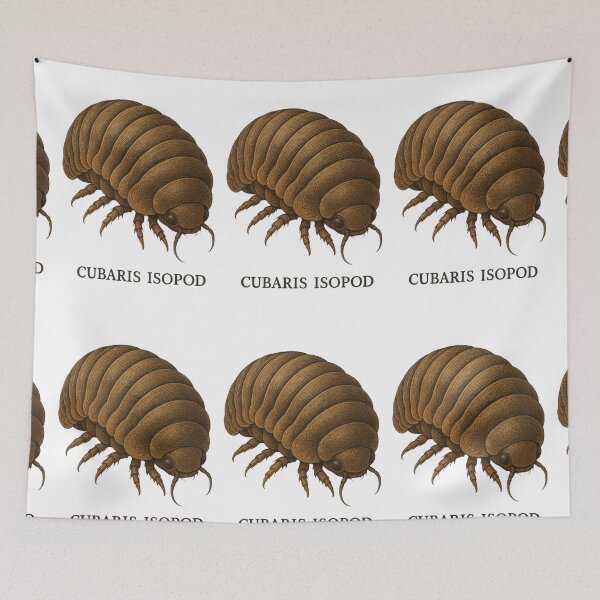 Item preview, Cubaris Isopods - realistic insect designed and sold by DamioPolArt.