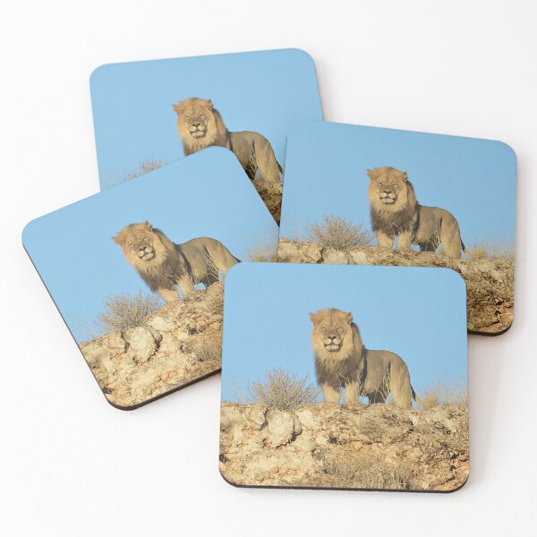 Item preview, King on the Rocks — Black-Maned Lion of Kgalagadi designed and sold by DavideAntoniani.