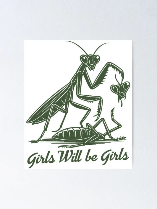 【希少プロモ盤！】PRAYING MANTIS /THIS TIME GIRL 希少プロモ盤！】PRAYING MANTIS /THIS TIME GIRL 希少プロモ盤