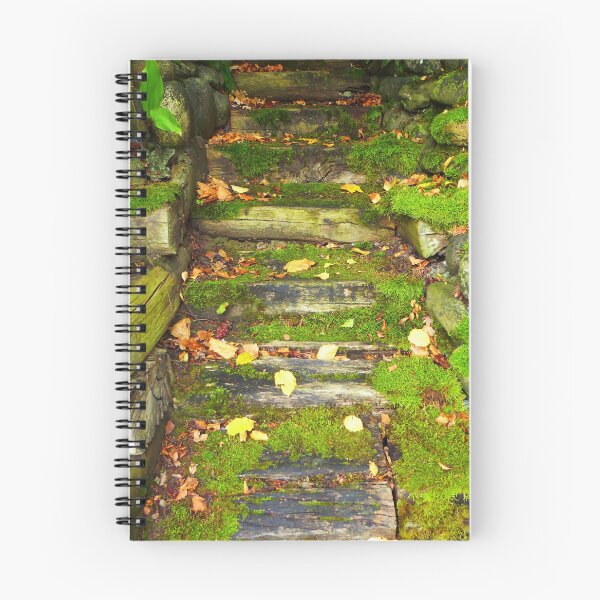 Item preview, The Rocky Pathway designed and sold by Vaengi.